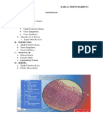 Histologia Practica