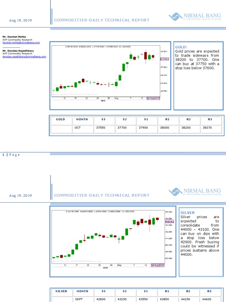 Commodity Technical Report Aug 19 | PDF | Investing | Financial Markets