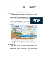 Tugas Online Siklus Biogeokimia