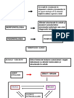 Procese Patologice 2.ppt