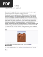 Camel Anatomy Overview | PDF | Respiratory System | Vertebra