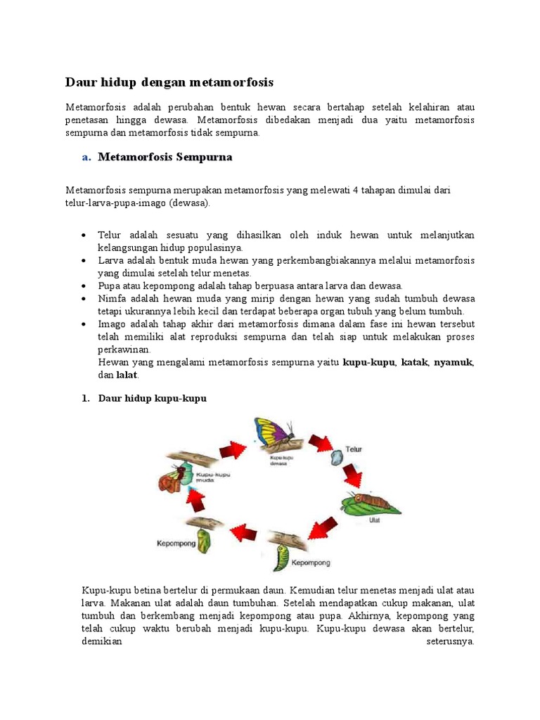 Tugas Ipa 1 Docx