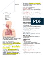 Upper Respiratory Tract: Parts of The Respiratory System