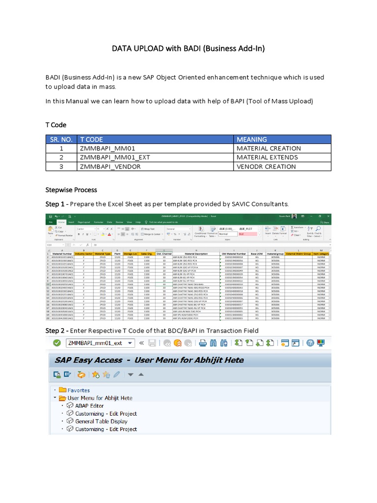 BADI Data Upload Process Guide | PDF