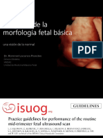 Anatomia Fetal