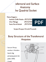 Transfemoral and Surface Anatomy