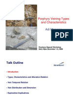 4a. Porphyry - Veining (Compatibility Mode) PDF