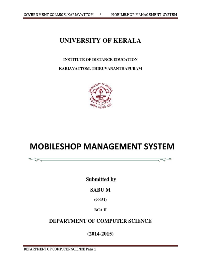 Original Periodic Report | PDF | Software Testing | Feasibility Study