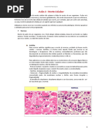 Aula 2 - Morte Celular