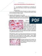 Anatomia Patológica: Alterações Hidroeletrolíticas e Hemodinâmicas