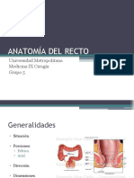 ANATOMÍA DEL RECTO y Fistulas Perianales