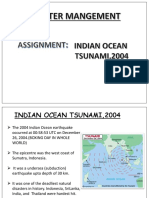 Disaster Management Tsunami