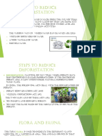 Steps To Reduce Deforestation: Recycling of Paper
