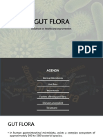 Gut Flora: Influence On Health and Improvement