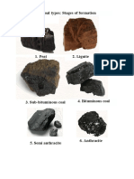 Coal Types: Stages of Formation