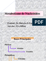 Metabolismo de Nucleotidos