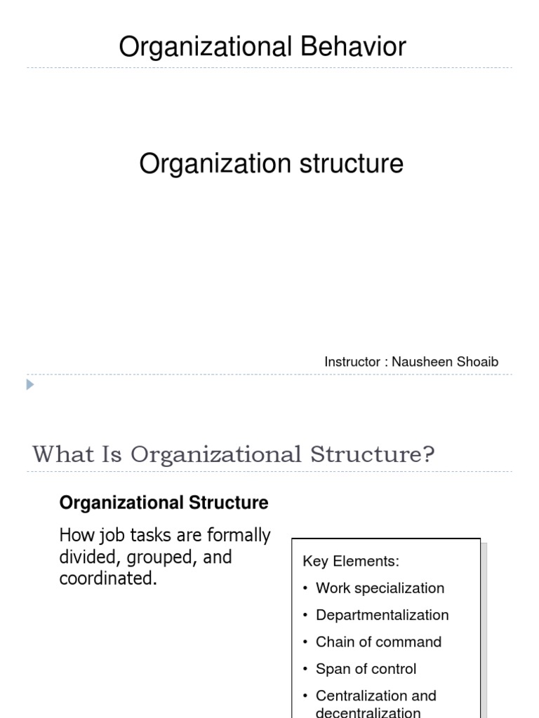 11 Organization Structure PDF | PDF | Organizational Structure ...