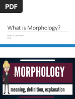 What Is Morphology