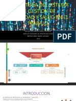 Estructura Del Sistema de Gestion de Seguridad y