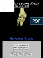 Aula de Anatomia e Biomecanica Do Joelho 1ppt