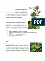 Plantas Medicinales