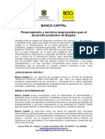 Pro Yec To Banca Capital