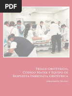 Triage Obstetric