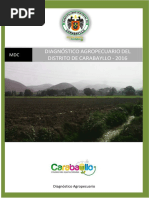 Diagnostico Agropecuario I