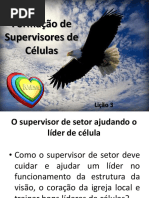 A Função Do Supervisor