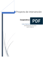 Proyecto de Intervencion