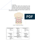 Kuadran Abdomen