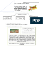 Creando Un Fábula Guia de Lenguaje Miercoles 7 Agosto