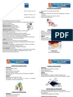 Registrocivil PDF