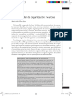 Leira 7 PDF