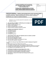 actividad de comprensión lectora , libro lautaro