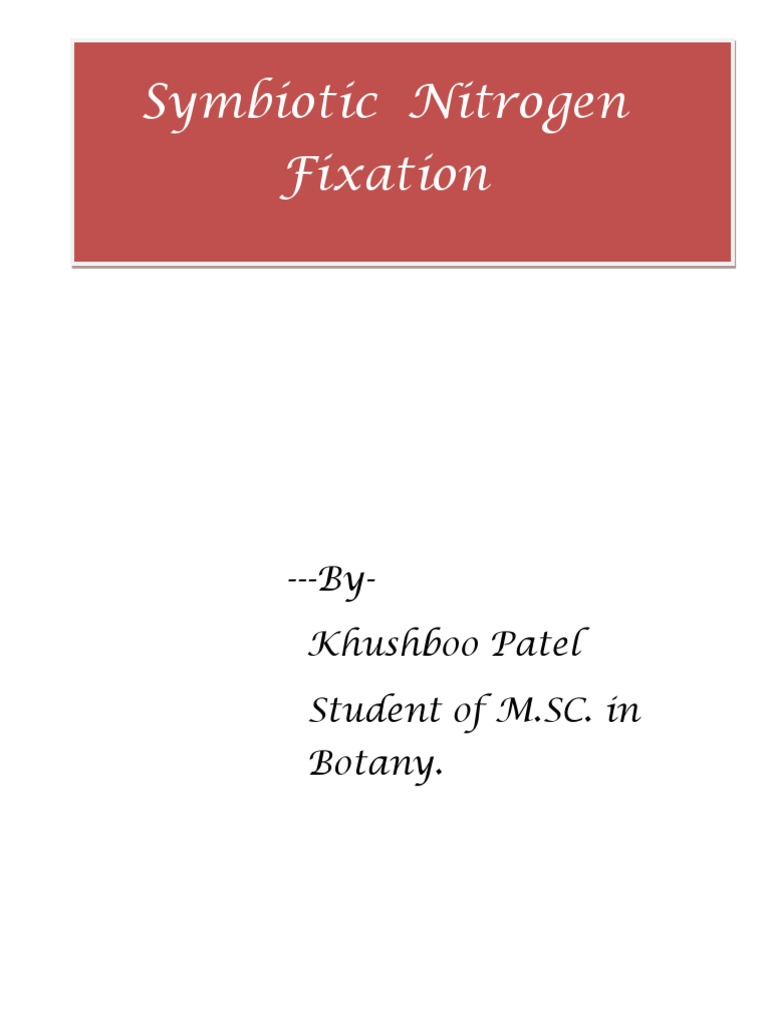 Symbiotic Nitrogen Fixation | PDF | Nitrogen | Root