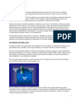 Agua PDF