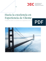 Excelencia en Experiencia Del Cliente