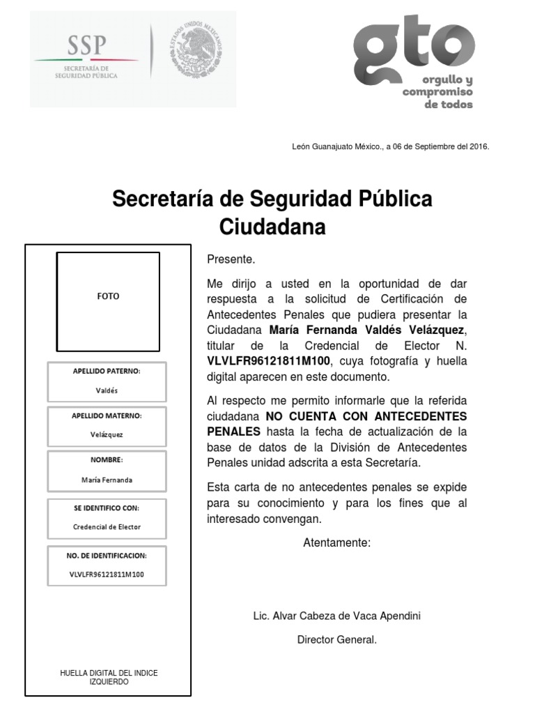 Carta de No Antecedentes Penales PDF
