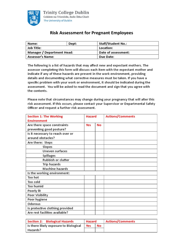Pregnancy Risk Assessment Template | PDF | Personal Protective ...