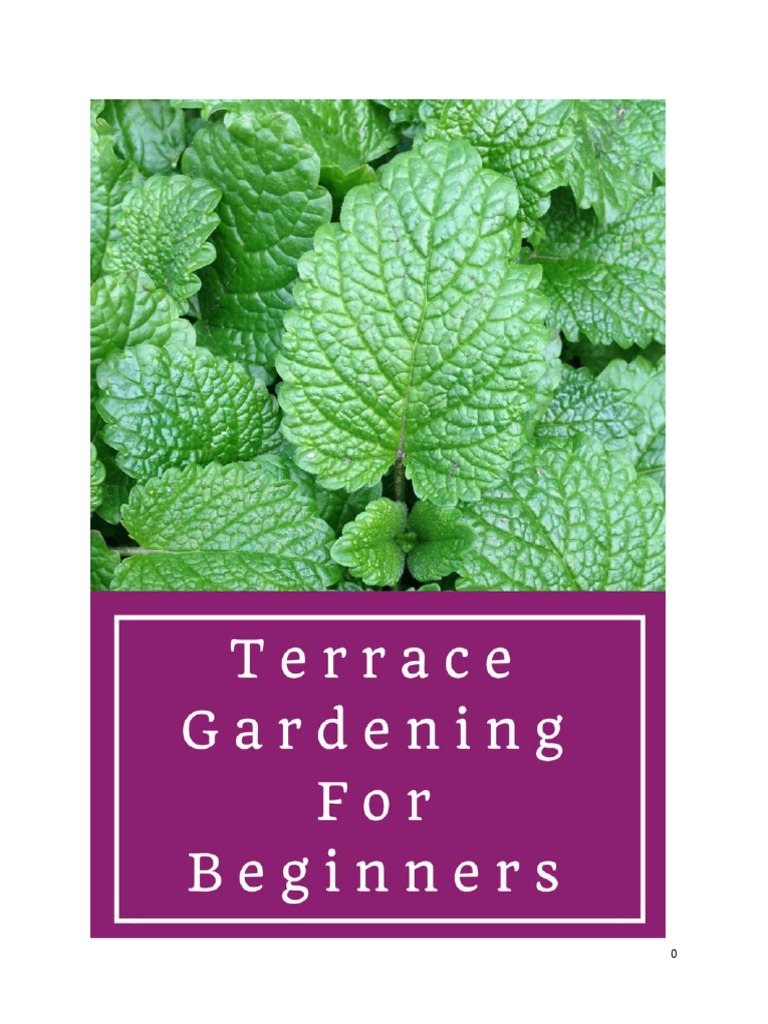 Terrace Gardening For Beginners PDF Fertilizer Vegetables