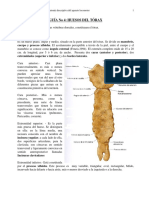 guíatórax.pdf