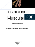 Inserciones Musculares.pdf