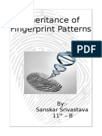 Inheritance of Fingerprint Patterns