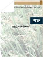 Cultivo de Arroz Tinoco 2009 Min Edited