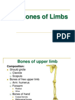 Bones of Limbs