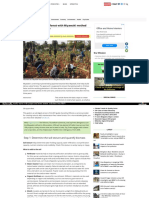 Bengaluru - Citizenmatters - in - How To Make Mini Forest Miyawaki Method 34867 PDF