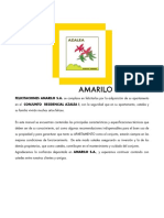 1 - Manual Amailo V