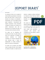 Report Diary