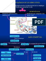 bioelementos-y-biomolculas-1218558388720374-8